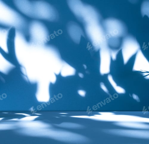 Preview: Indigo background summer wall studio room