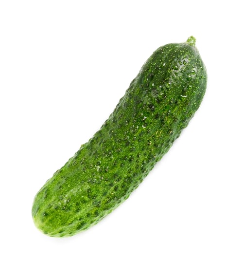 Fresh Green Cucumber on a White Background
