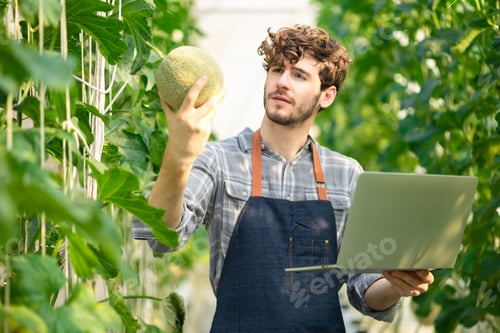 Preview: FARMER ANDRY