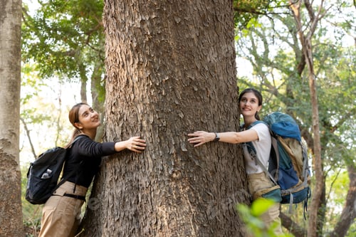 Preview: Woman hugging a big tree in the outdoor forest, Ecology and nature