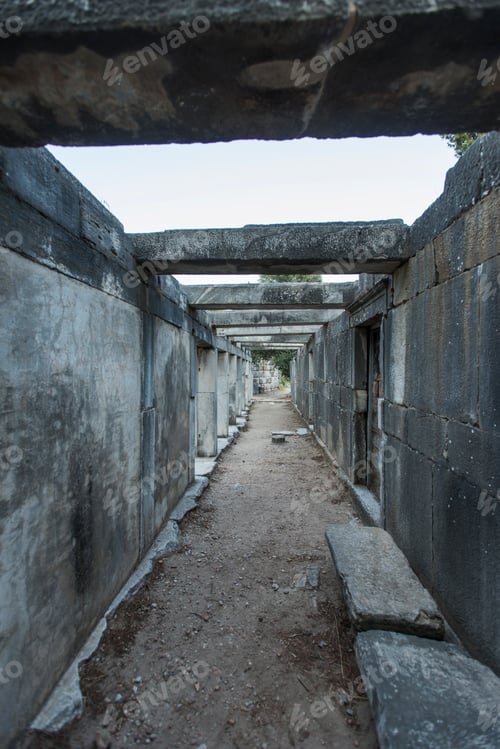 Preview: Columns of Priene