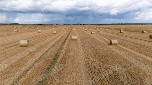 Preview: Farm field with hay bales under cloudy sky in rural area during autumn season
