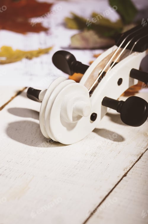 Preview: Close view of a white violin dry oak leaves and musical notes on