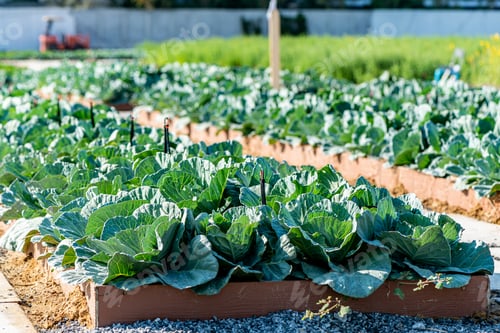 Preview: Precision agriculture.