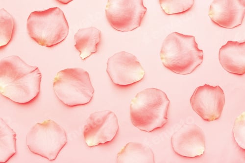 Preview: Coral rose petals