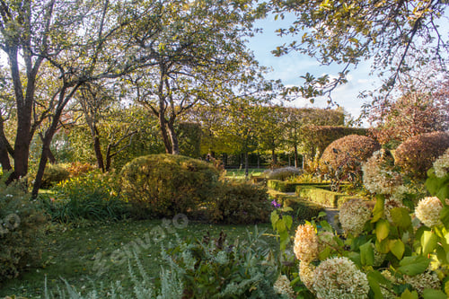 Preview: Park with green lawn, trees and trimmed bushes.