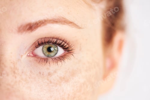 Preview: Close up of human's, left, green eye