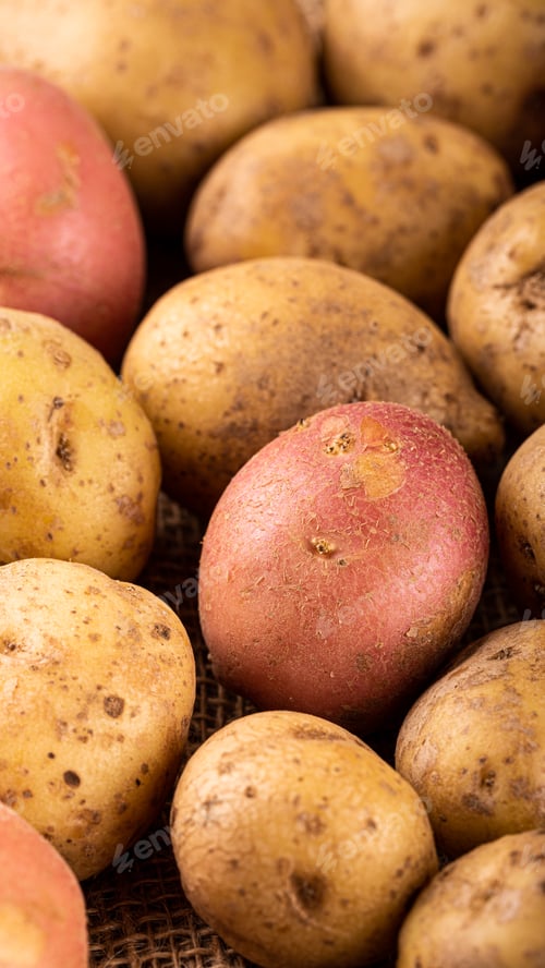 Preview: Raw whole washed organic potatoes