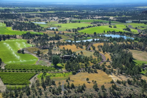 Views from Smith Rock Park Views from Smith Rock Park