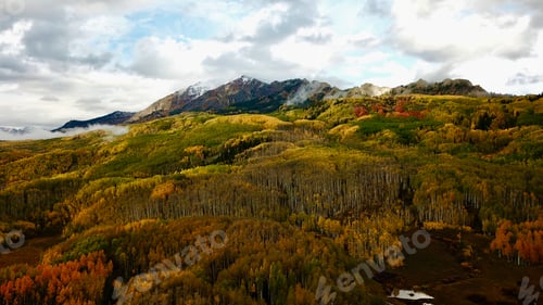 Preview: Vast landscape with rolling hills and trees