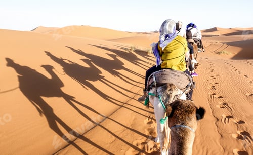 Preview: Tourists caravan riding dromedaries through sand dunes in Sahara desert