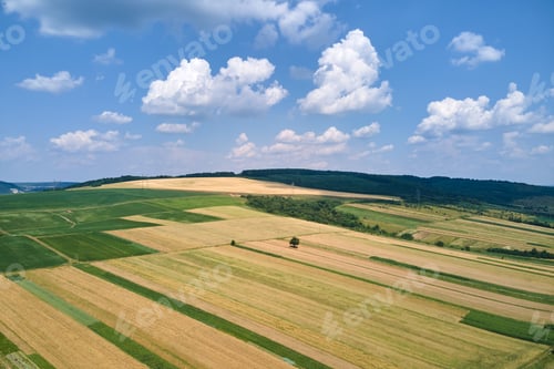 Preview: Aerial landscape view of green and yellow cultivated agricultural fields with growing crops on