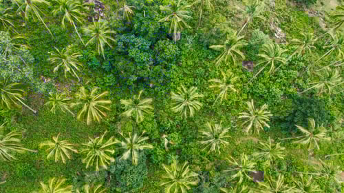 Preview: conversation, 30 years old, 5g connection, accessories, app, application, attractive, blogging, blue