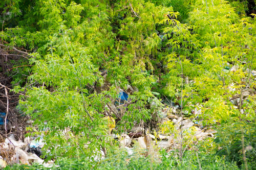 Preview: Illegal bulk waste discarded. Landfill in the river. polluted environment. problem concept
