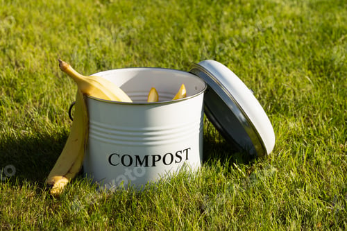 Preview: Metal compost bucket with peel vegetables making compost on green lawn. Outdoors.