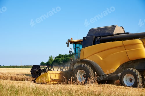 Preview: Combine harvester harvesting golden ripe wheat in agricultural field