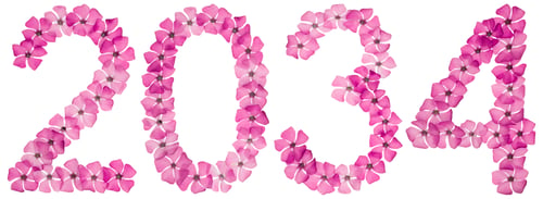 Preview: Inscription 2034, from natural pink flowers of periwinkle, isolated on white background