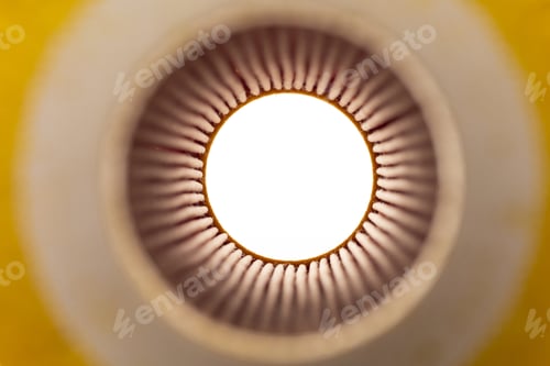 Preview: from inside the oil filter of a car engine, photography with depth of field, focus on the far wall