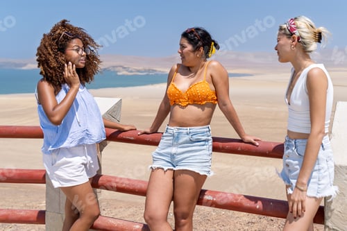 Preview: Multiracial friends enjoying a beach adventure trip with wonderful scenery