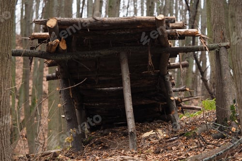 Preview: Survival in the forest. Survival in the wild. A structure made of branches and logs in the forest in