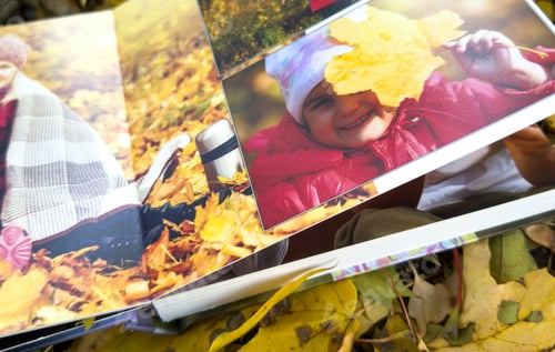 Preview: Photobook on the leaves background, closeup of photobook, family photo album