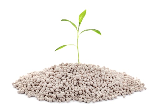 Preview: Pile of chemical fertilizer and green plant isolated on white. Gardening time