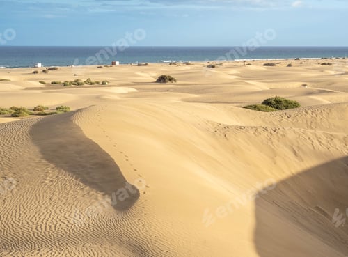 Preview: Famous natural park Maspalomas dunes in Gran Canaria at sunset, Canary island, Spain