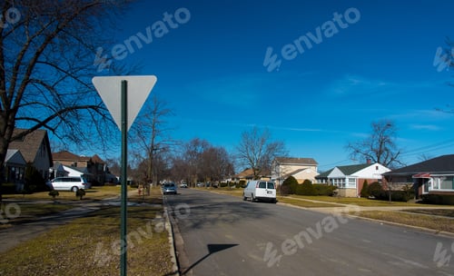 Preview: American Suburbs