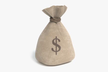 Preview: Burlap Sack of Money with Dollar Sign