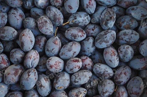 Preview: Fresh, ripe plums displayed in a rustic and charming basket at the bustling market