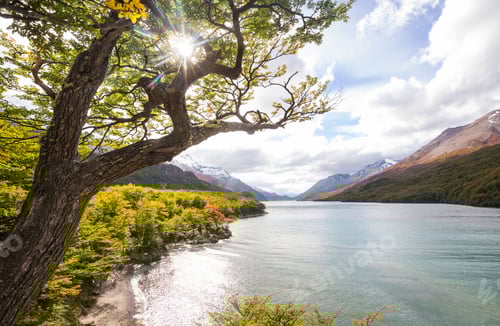 Preview: Autumn in Patagonia