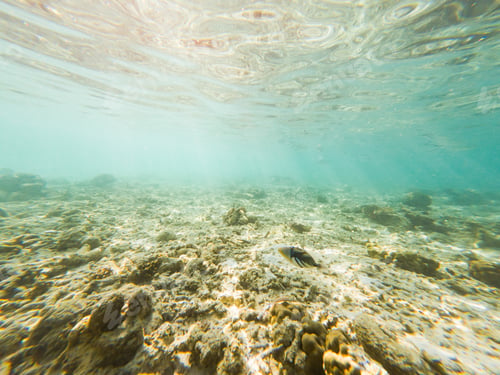Preview: abstract underwater background of clear blue tropical sea