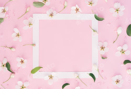Preview: White frame with flowers and leaves of apple tree on pink background