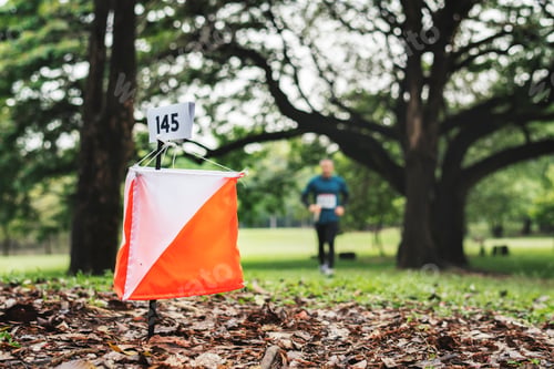 Preview: Orienteering box outdoor in a forest