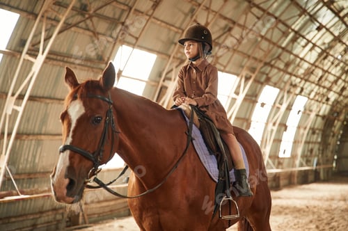 Preview: Riding the animal. Cute little girl is with horse indoors