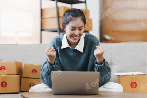 Vista previa: Pequeñas empresas propietarias de pymes, empresarias que trabajan con paquetería, comercio electrónico, marketing, Internet