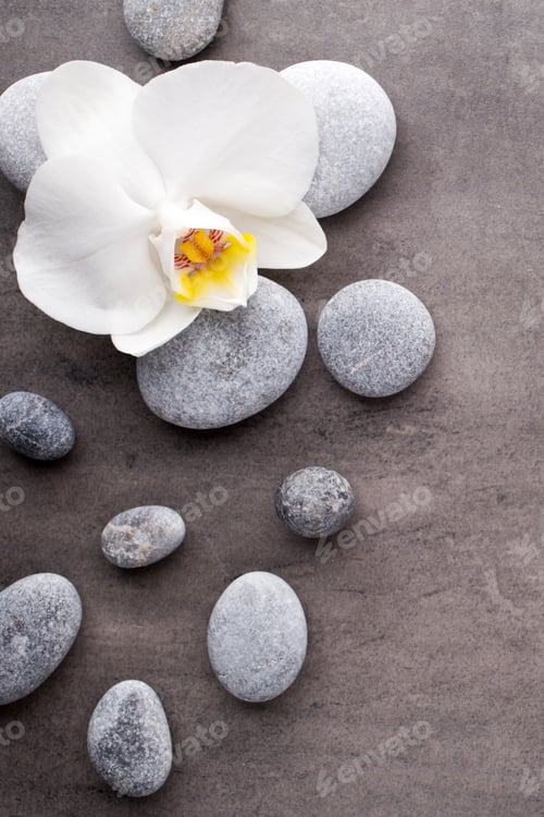 Preview: White orchid and spa stones on the grey background.