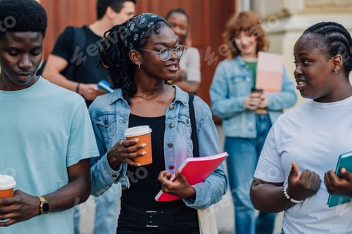 Preview: Diverse students standing in crowd near university and chatting.