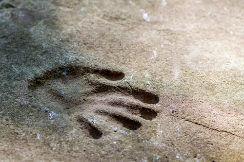 Preview: Memorable handprint of a hand in an old concrete wall