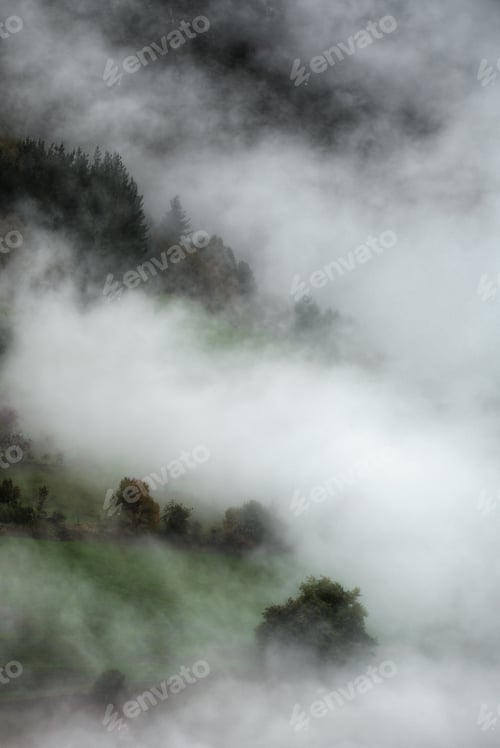Preview: The tops of some trees appear briefly in the thick fog