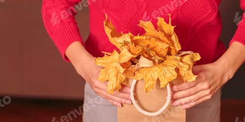 Preview: Woman in red sweater holding paper shopping bag with dried yellow leaves