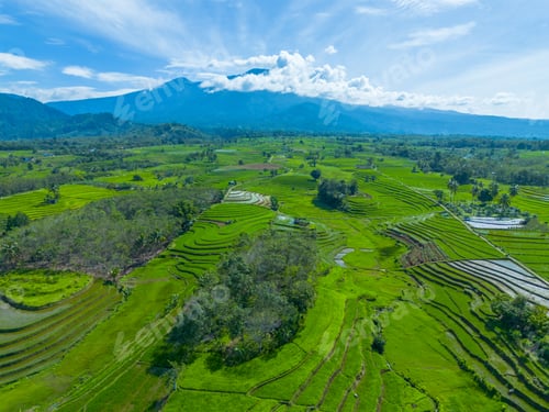 Preview: beautiful morning aerial view of Indonesia with mountains and tropical forests