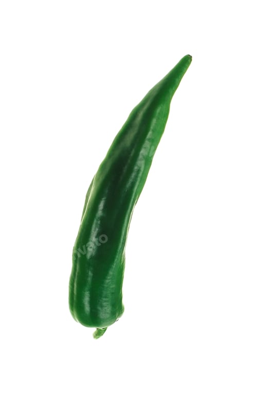 Preview: One chili pepper, green on white background