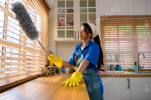 Preview: Happy woman cleaning house, Housekeeping and cleaning service, People doing housework at home