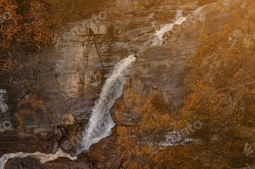 Preview: River deep in mountain forest. Nature composition.