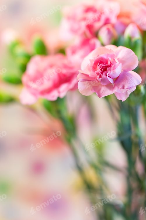 Preview: Pink flowers in a glass vase