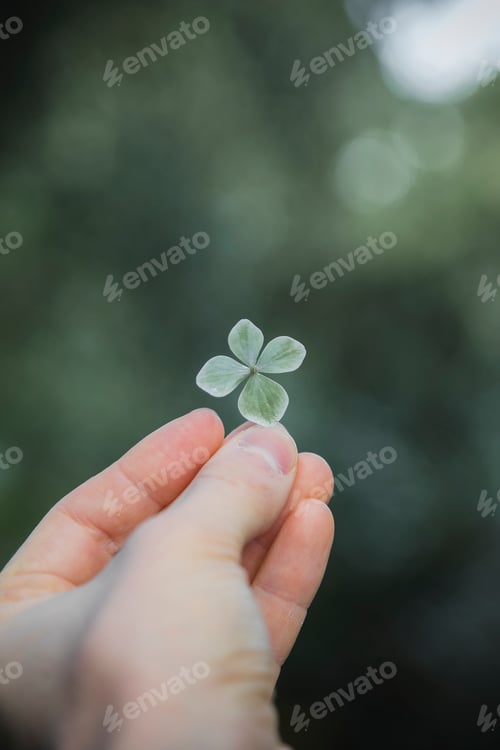Preview: Woman holding a four-leaf clover