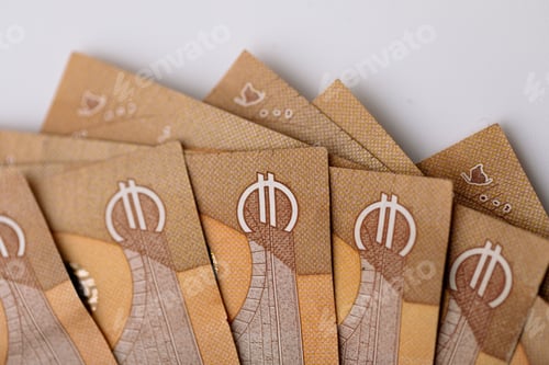 Preview: Closeup on fifty euros bank notes