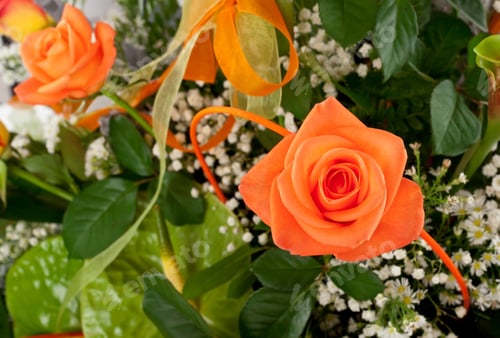 Preview: Beautiful bouquet of orange roses.