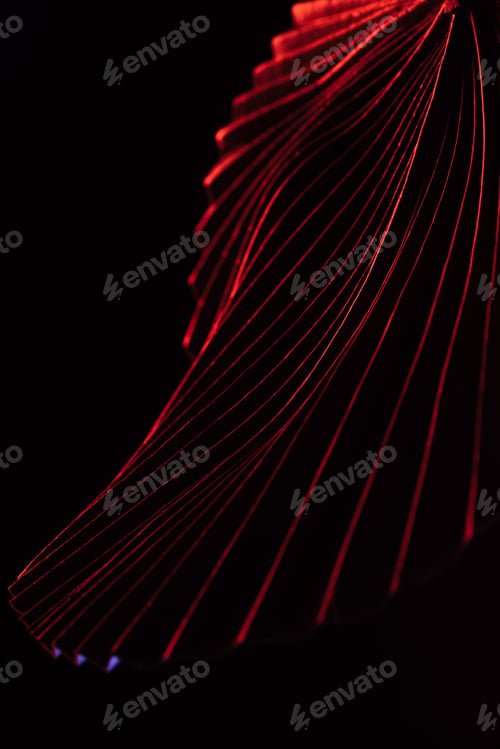 Preview: close up view of beautiful tropical leaf with red lighting isolated on black